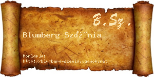Blumberg Szénia névjegykártya